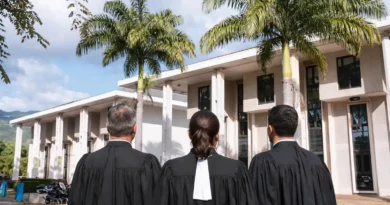 Avocats devant le Tribunal de Saint-Denis