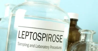 LEPTOSPIROSE à La Réunion