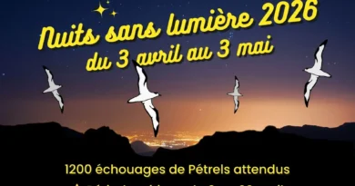 Nuits sans lumière 2026 pétrel de barau