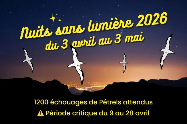 Nuits sans lumière 2026 pétrel de barau
