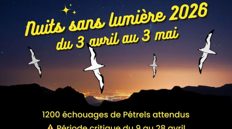 Nuits sans lumière 2026 pétrel de barau