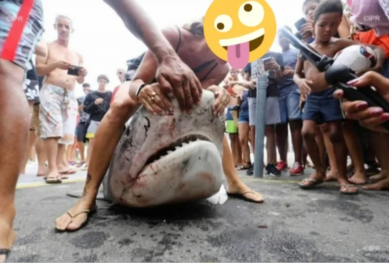 LA RÉUNION N'EST PAS LE ZOO MORAL DE LA FRANCE 1