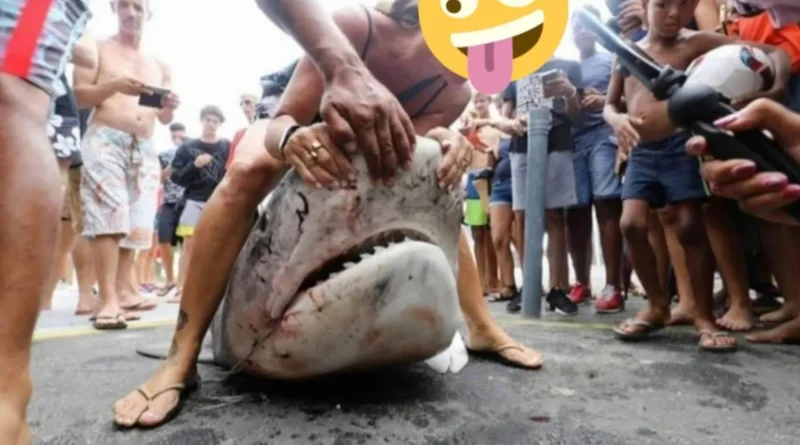 LA RÉUNION N'EST PAS LE ZOO MORAL DE LA FRANCE 1